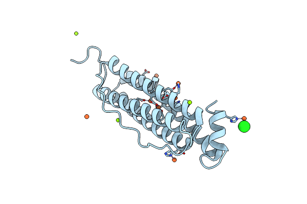 7O6D image