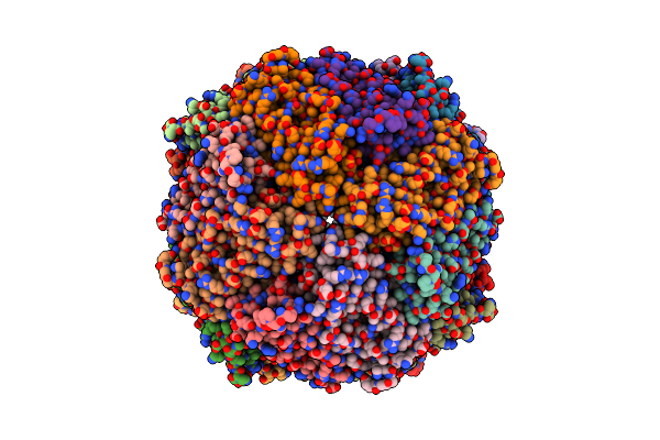 7O6E image