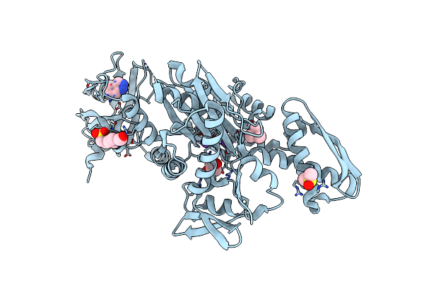 7O6R image