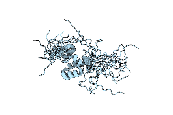 7O7B image