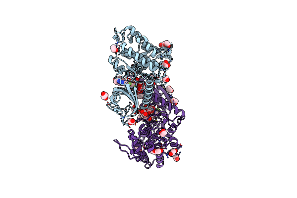 7O7K image