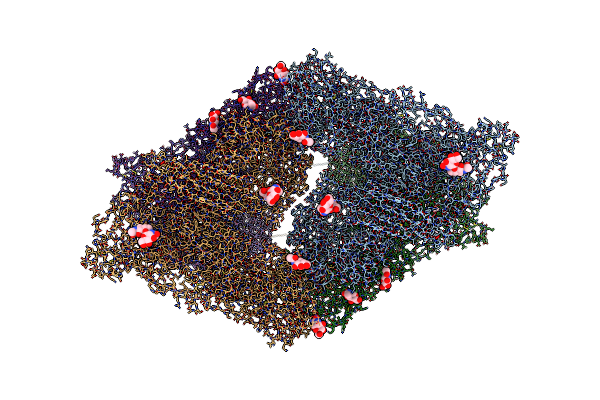 7O7N image