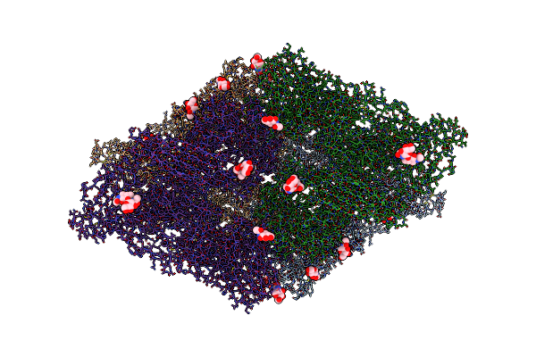 7O7P image