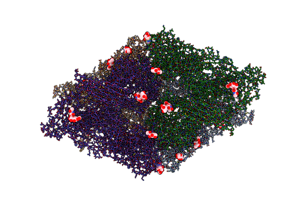 7O7R image