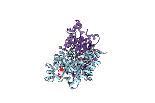 7O87 image