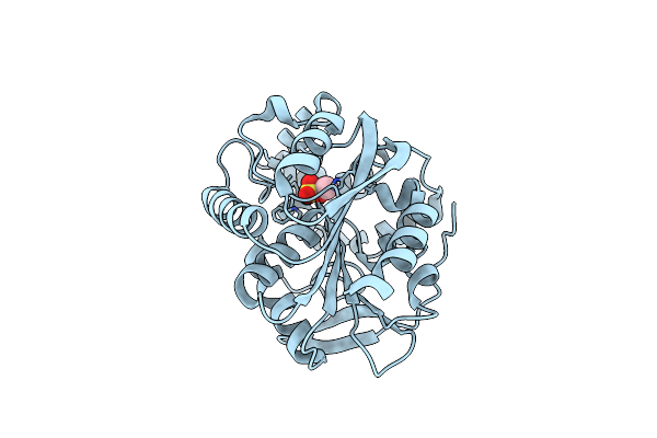 7O8B image