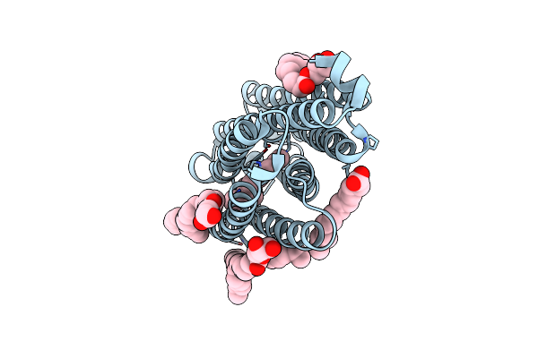 7O8G image