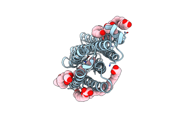 7O8M image