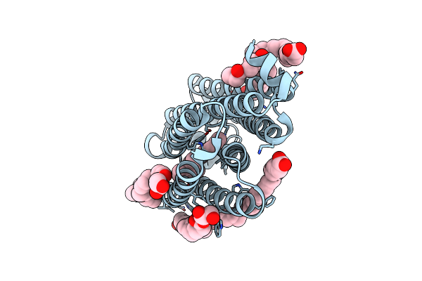 7O8N image