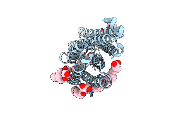 7O8O image