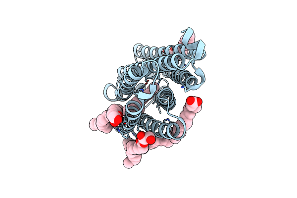 7O8P image