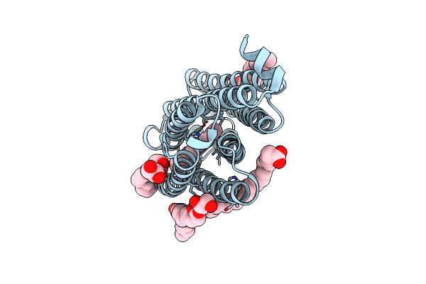 7O8T image