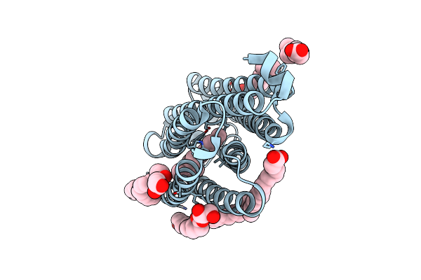 7O8Z image