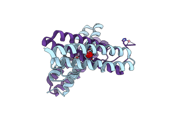 7O9D image