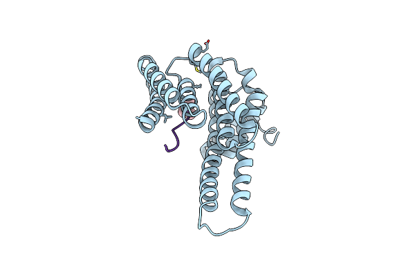 7OBC image