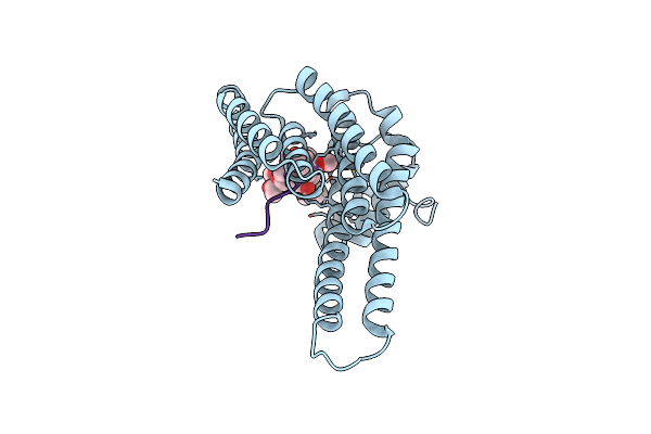 7OBH image
