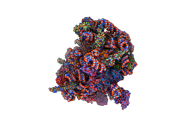 7OBR image