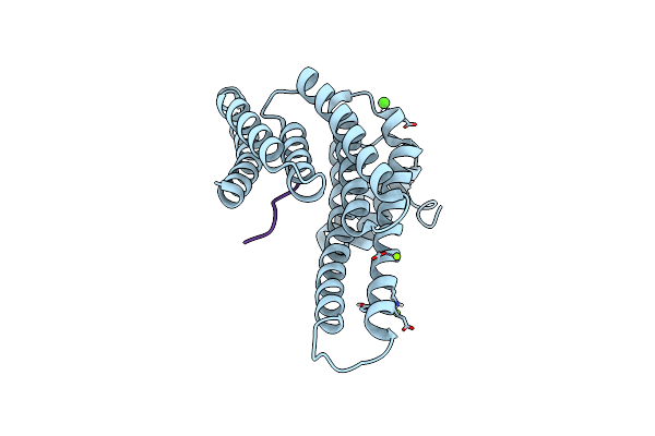 7OBS image