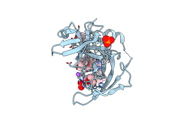 7OCB image