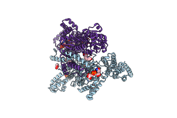 7OCQ image