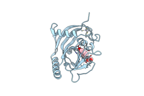 7OCV image