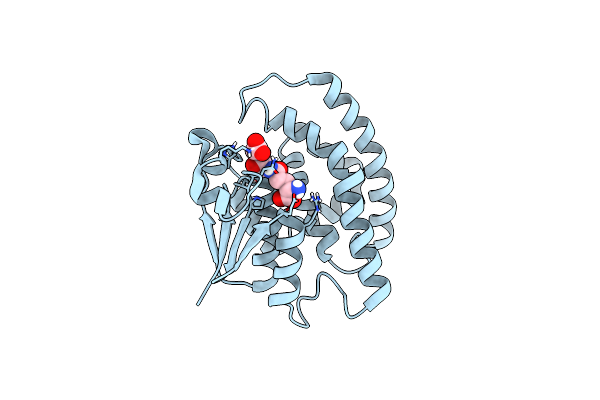 7ODM image