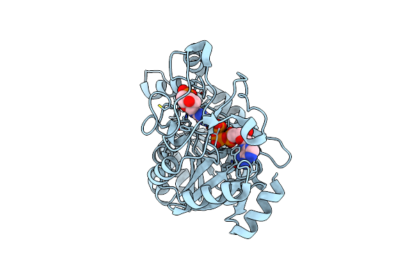 7ODX image