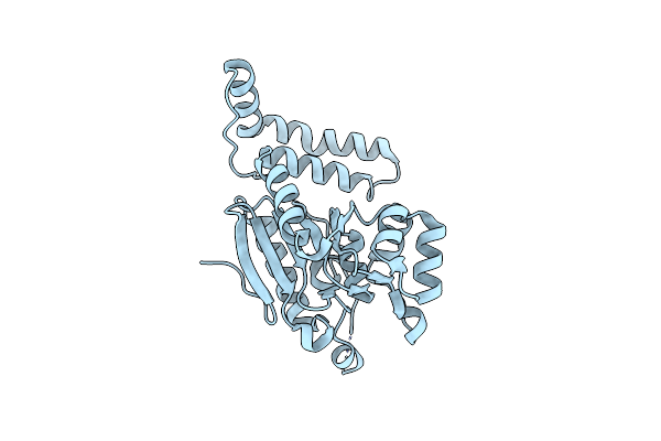 7OEQ image