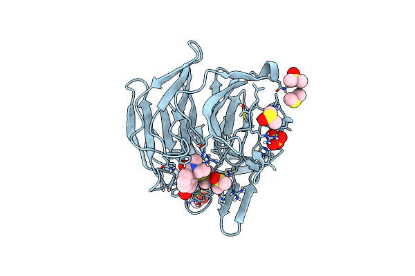 7OFB image