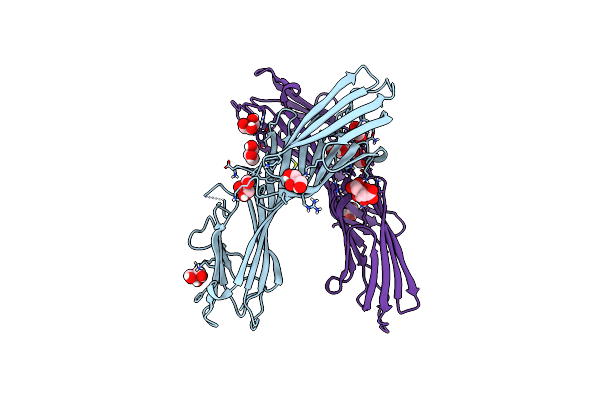 7OFP image