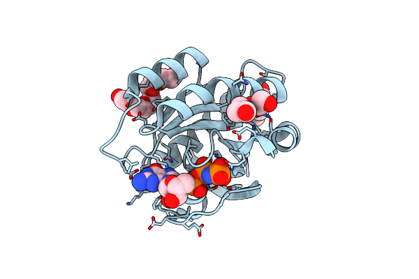 7OGB image