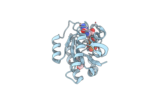 7OGD image