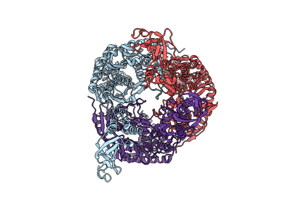 7OGL image