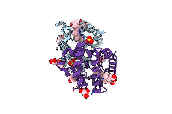 7OHD image