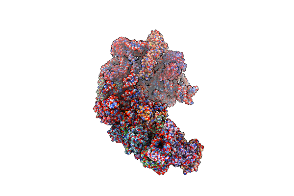 7OHP image