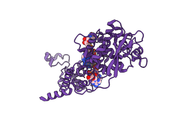 7OI3 image