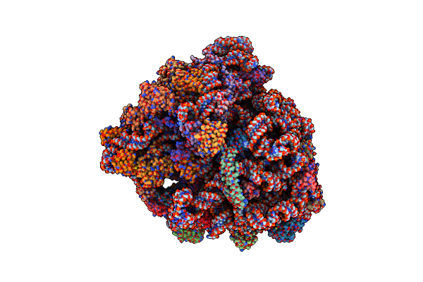 7OIG image