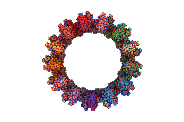 7OKO image
