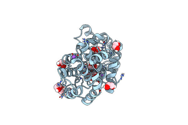 7OLB image