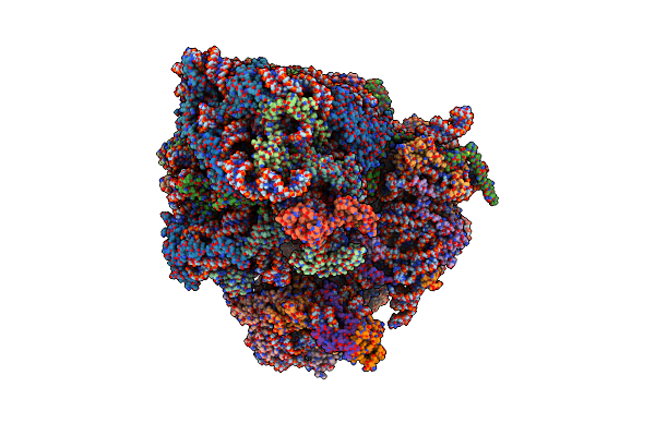 7OLC image