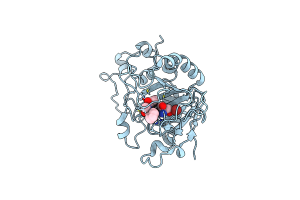7OLM image