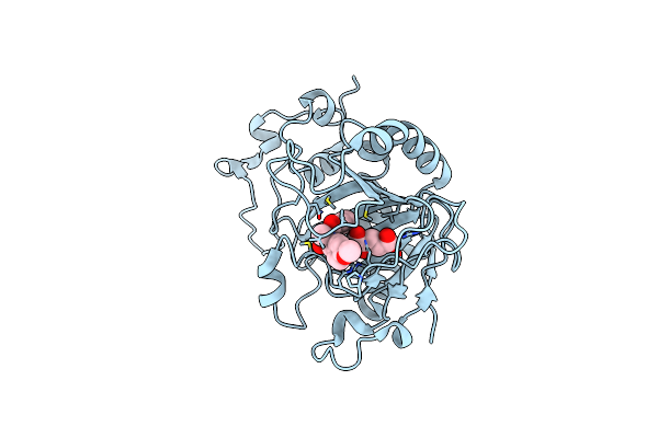 7OLR image