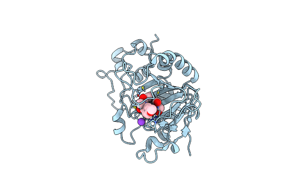 7OLT image