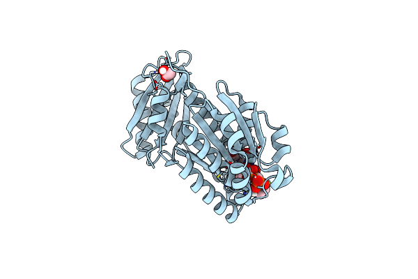 7OMP image