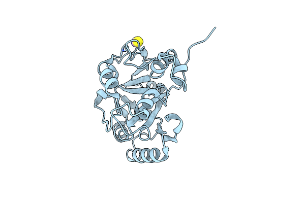 7OMV image