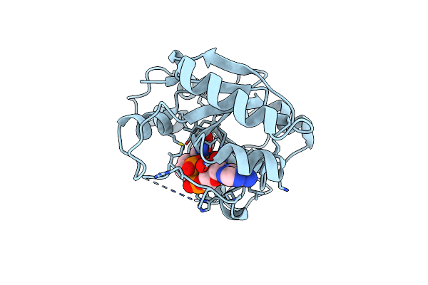 7OMX image