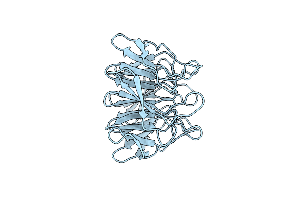 7ONC image