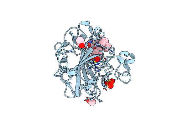 7ONP image
