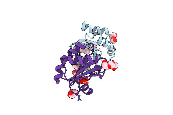 7OOL image