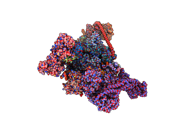 7OPC image
